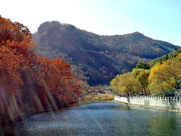 管家婆黑白马报图库，免杀